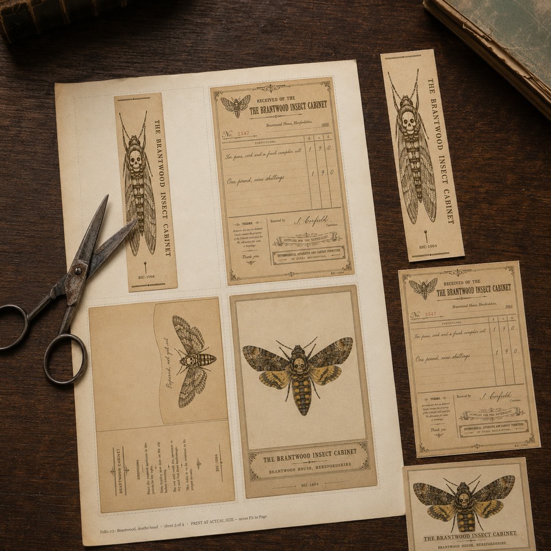 A printed A4 sheet of ephemera part-cut with scissors resting on it and three cut pieces set aside