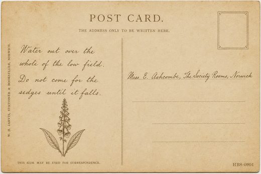 Postcard back with divided message and address panels